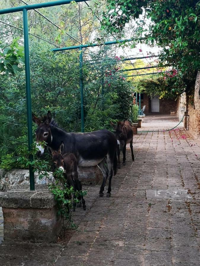 הוילה Trepuzzi Masseria Provenzani מראה חיצוני תמונה