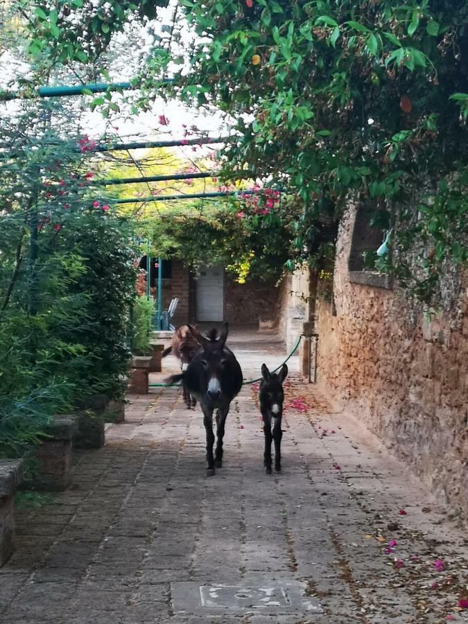 הוילה Trepuzzi Masseria Provenzani מראה חיצוני תמונה